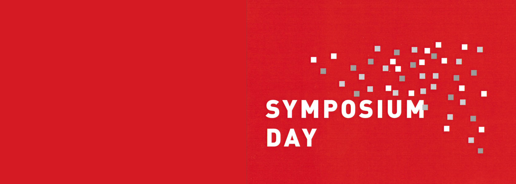 VIII SYMPOSIUM DAY_2022